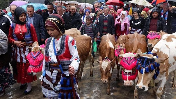 Trabzon’da Yayla Göçü! Renkli Görüntüler...