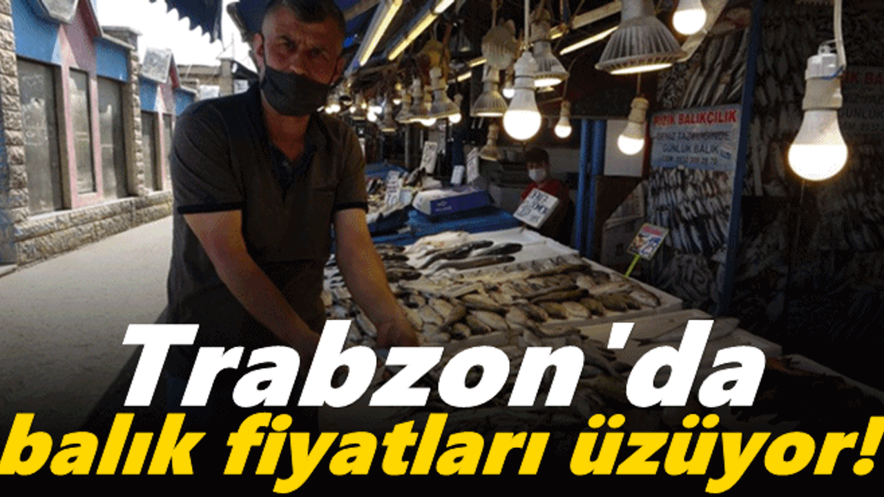 Trabzon'da balık fiyatları üzüyor!