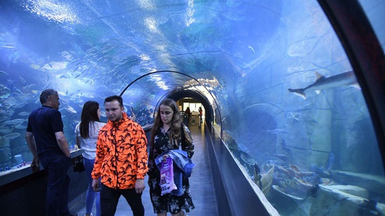 Trabzon'da Tünel Akvaryum'a 4 günde binlerce ziyaret!