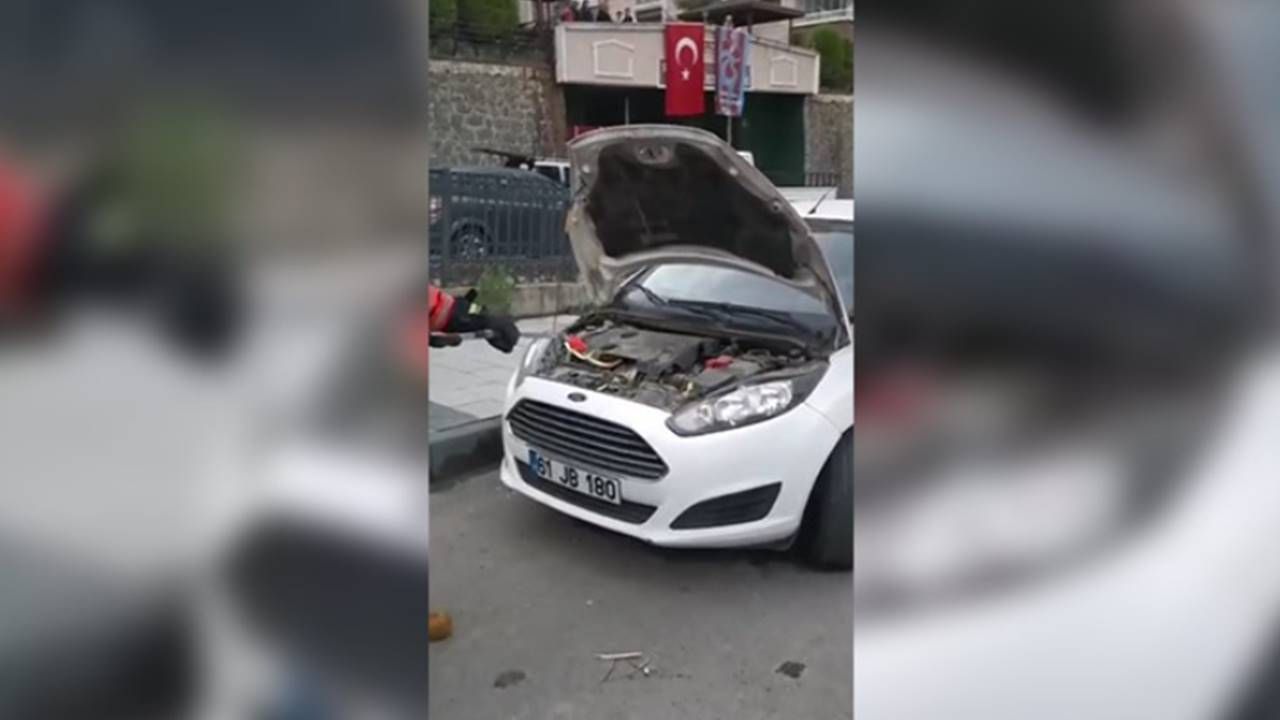 Trabzon'da aracın motor kısmından yılan çıktı!