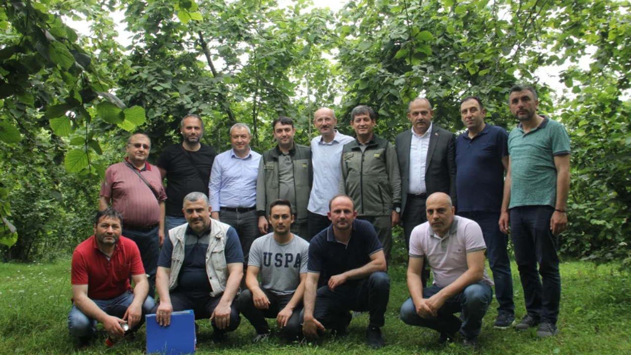 Trabzon'da rekolte tespit çalışmaları başladı