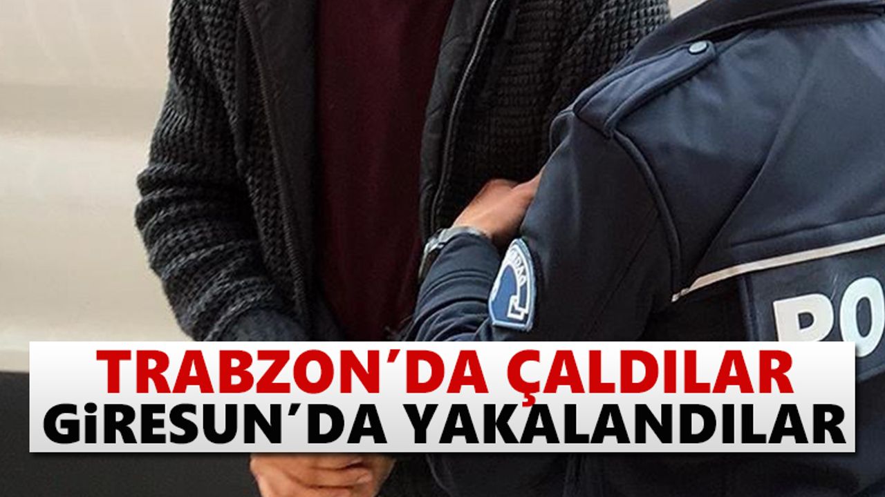 Trabzon'da çaldılar, Giresun'da yakalandılar