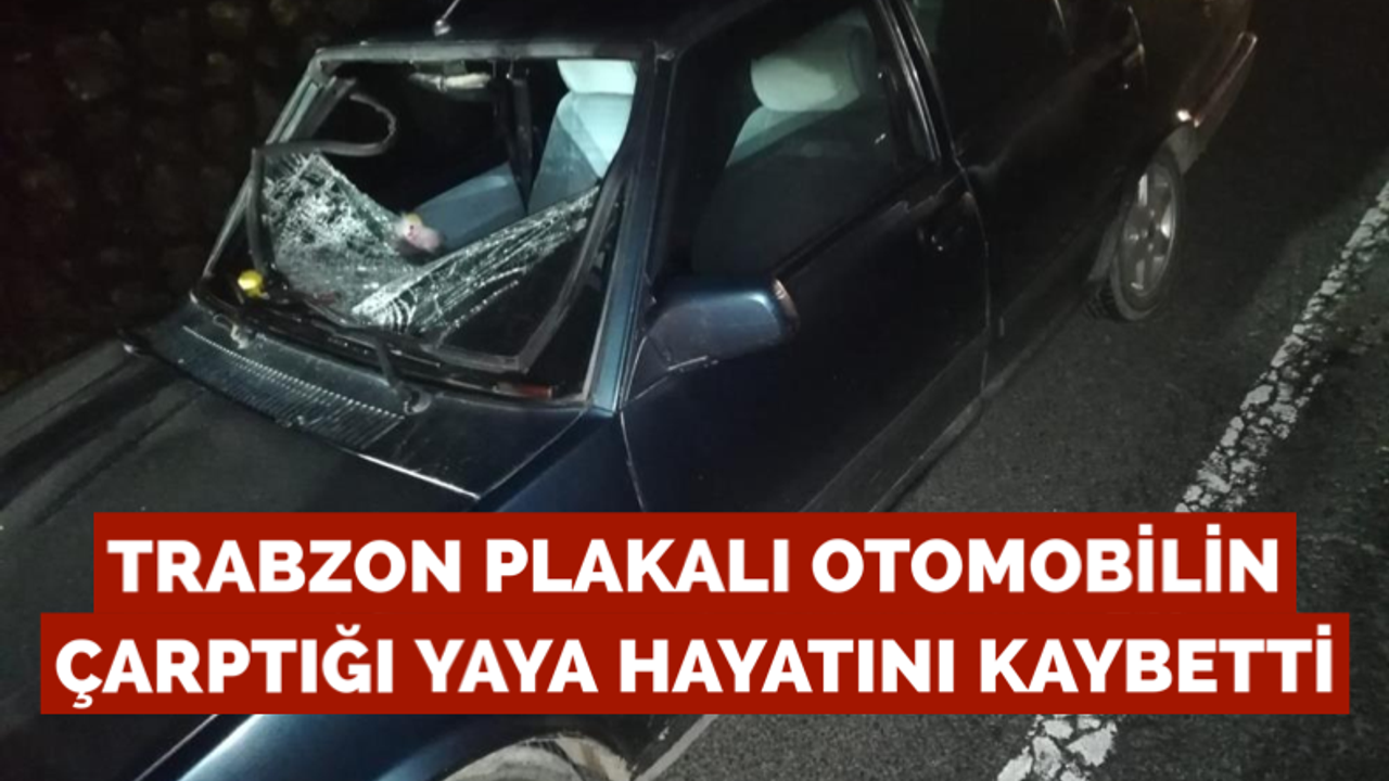 Trabzon plakalı otomobilin çarptığı yaya hayatını kaybetti
