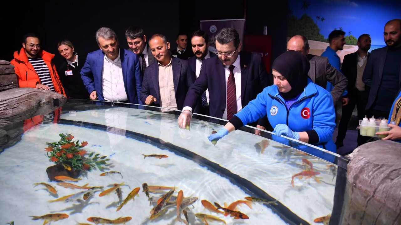 Trabzon Akvaryum'da balıklar biberonla besleniyor