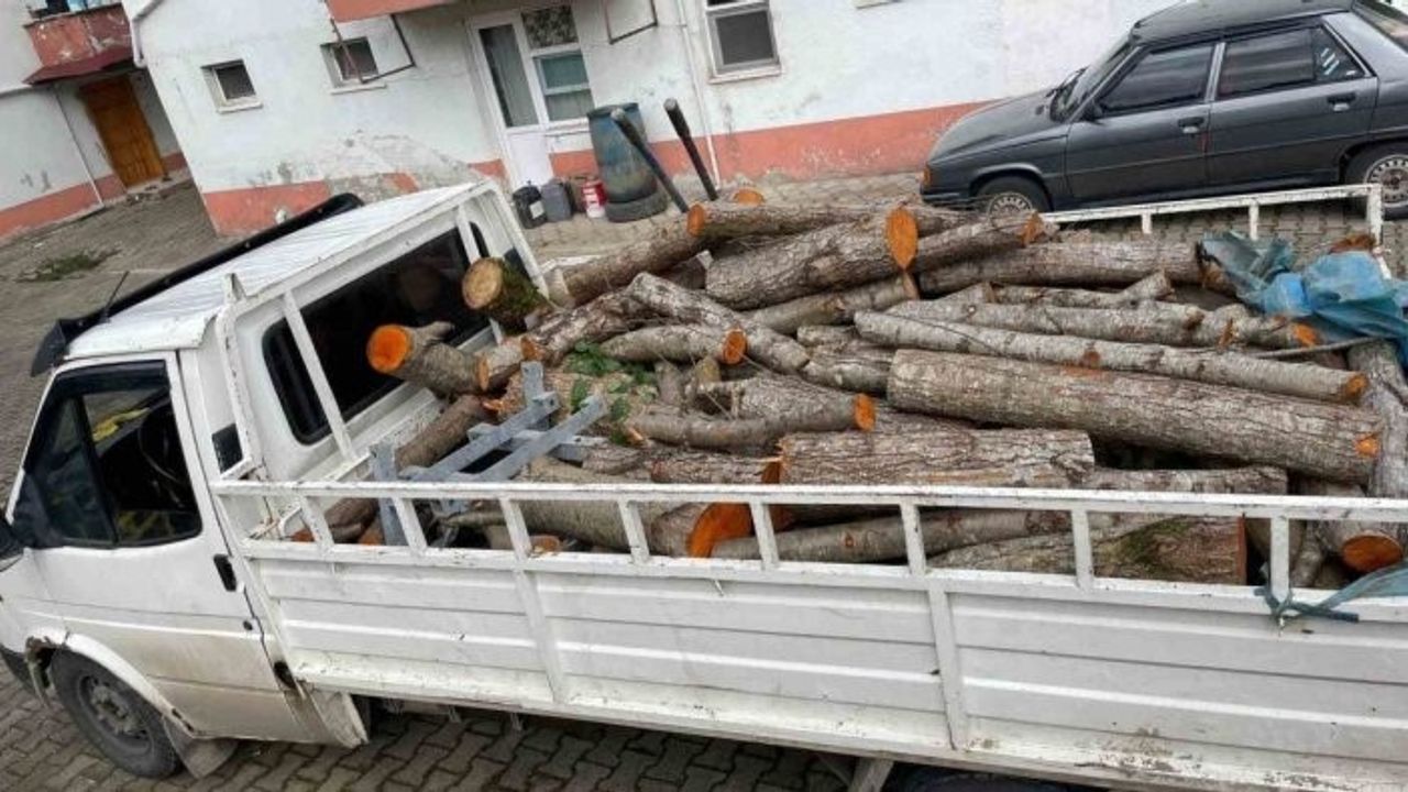 Trabzon’da depremzedeler için hazırlanan odunları çaldılar!