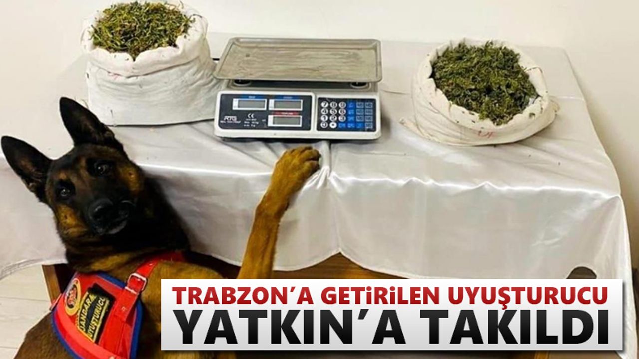 Trabzon'a getirilen uyuşturucu Yatkın'a takıldı