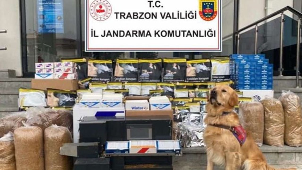 Trabzon’da 200 bin liralık kaçak sigara operasyonu!