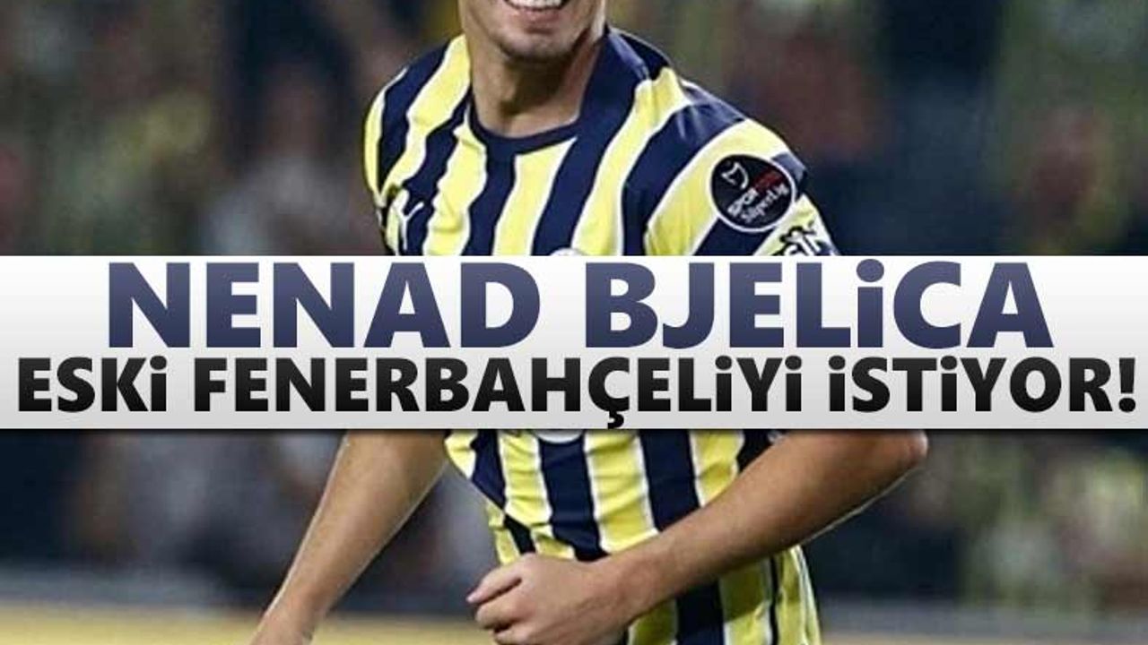 Nenad Bjelica eski Fenerbahçeliyi istiyor!