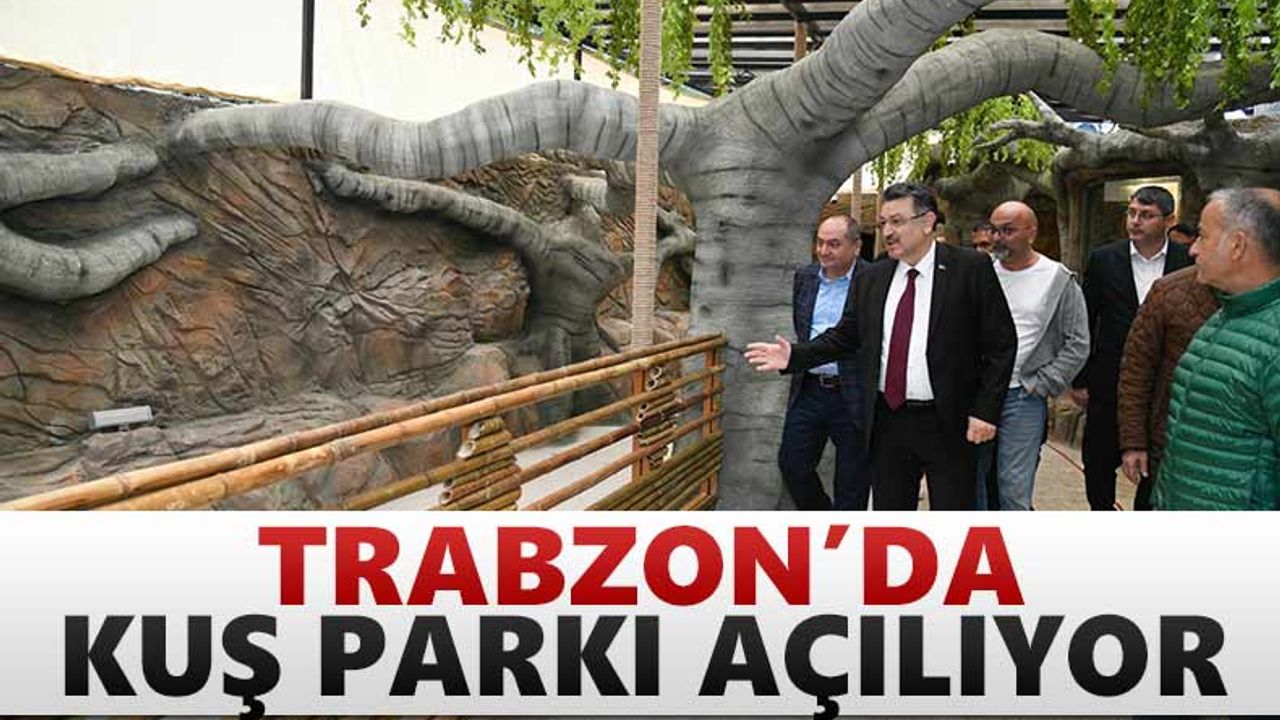 Trabzon’da Kuş Parkı açılıyor