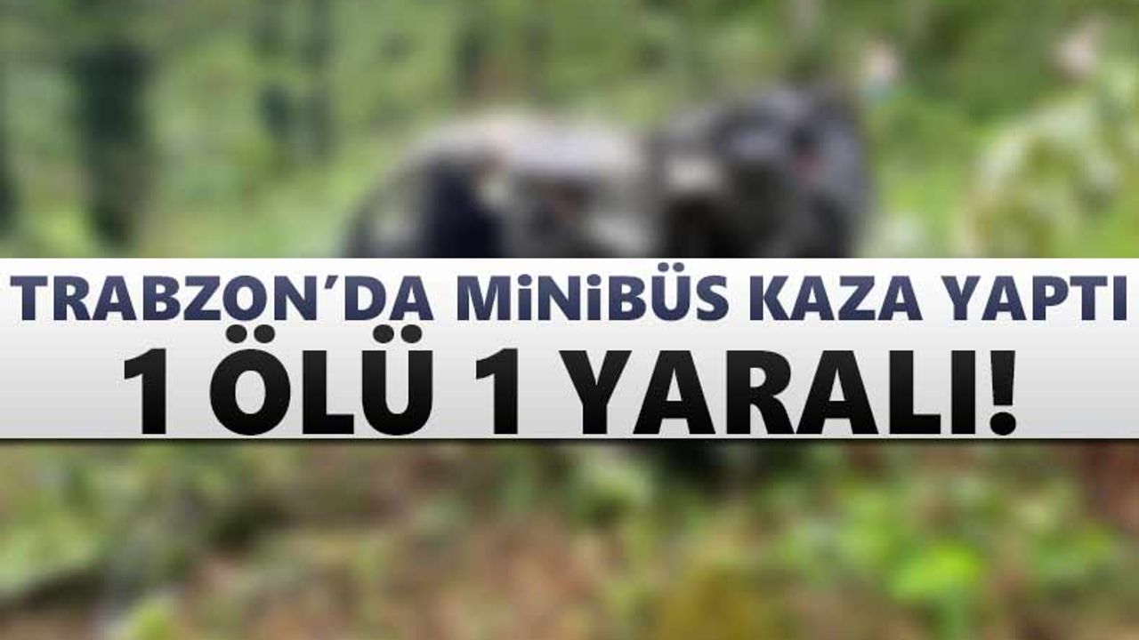 Trabzon'da minibüs kaza yaptı! 1 ölü, 1 yaralı