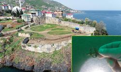 Trabzon'da kale kalıntıları denizin altından çıkıyor