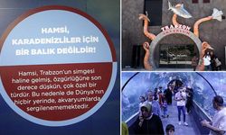 Trabzon’daki akvaryuma hamsiyle ilgili tabela asıldı