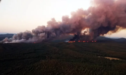 Marmaris'te ormanlık alanda büyük yangın!