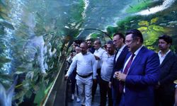 Genç, turizmcilere Trabzon Akvaryum’u gezdirdi