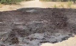 Gölet etrafındaki balçığa batan kız çocuğu kurtarılamadı