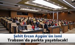 Şehit Ercan Aygün’ün ismi parkta yaşatılacak