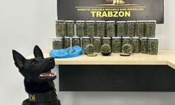 Trabzon’da uyuşturucu satıcıları narkotik köpeğinden kaçamadı!