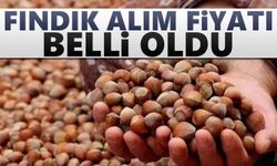 Fındık alım fiyatı belli oldu