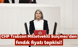 CHP Trabzon milletvekili Suiçmez’den fındık fiyatı tepkisi