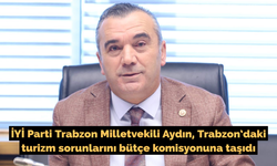İYİ Parti Trabzon Milletvekili Aydın, Trabzon’daki turizm sorunlarını bütçe komisyonuna taşıdı