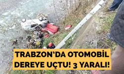 Trabzon'da otomobil dereye uçtu! 3 yaralı