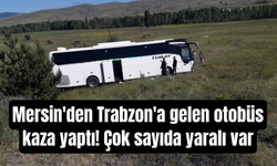Mersin'den Trabzon'a gelen otobüs kaza yaptı!