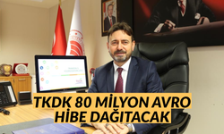 TKDK 80 milyon euro hibe dağıtacak