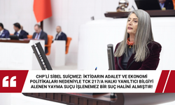 Sibel Suiçmez; Alenen yayma suçudur