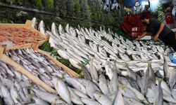 Trabzon'da Ramazanda Balığa Talep Arttı