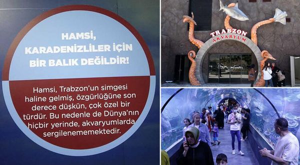 Trabzon’daki akvaryuma hamsiyle ilgili tabela asıldı