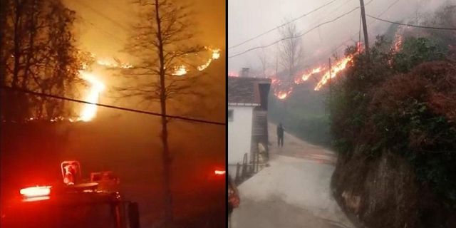 Trabzon'daki yangınlarla ilgili 4 kişi gözaltına alındı