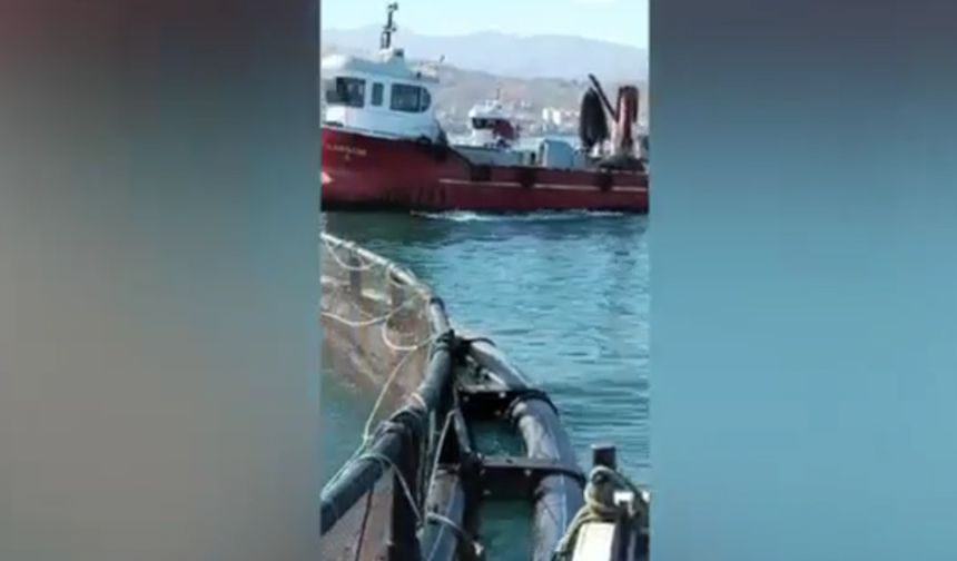 Fırtına Trabzonlu balıkçıları perişan etti! 100 ton balık kaçtı