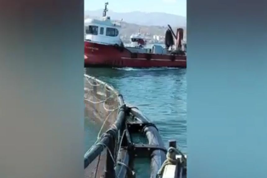Fırtına Trabzonlu balıkçıları perişan etti! 100 ton balık kaçtı